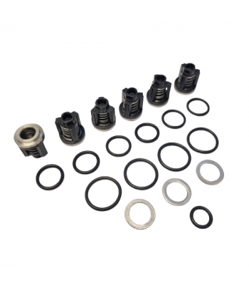 Kit de clapets pour nettoyeur Comet Scout/ KS réf. 50250019