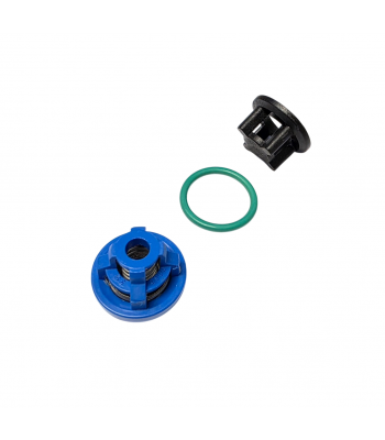 Ensemble clapet d'aspiration pour pompe Bertolini Poly HP 2020 / 25/ 30 